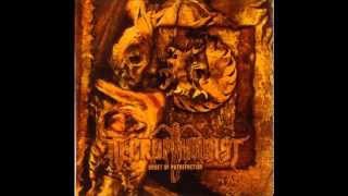 Necrophagist - To Breathe in a Casket