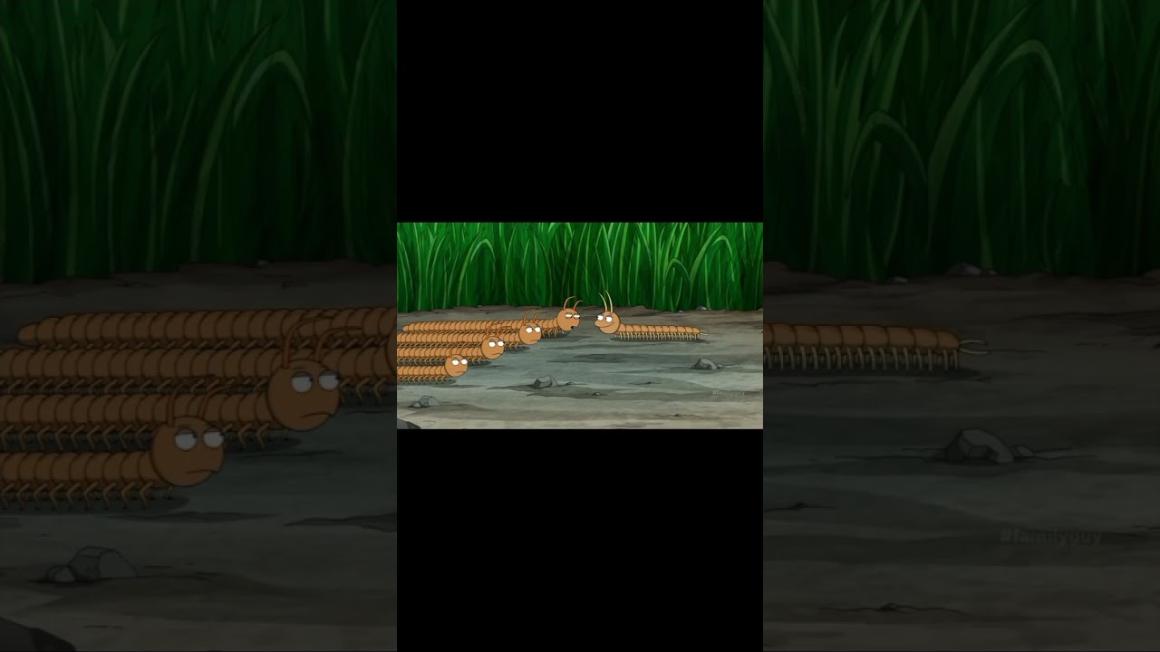 Millipede vs Centipede #familyguyfunny #centipede #millipede #familyguy #fyp #foryou