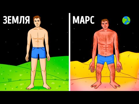 Вот ваше тело, если бы вы жили на других планетах, и другие факты в 3D