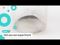 Is dit het vreemdste veiling-item ooit?