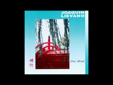 Joaquin Liévano:  "The Art Of Bowing"