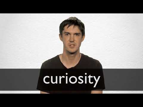 Rådgiver På kanten lytter Curiosity Synonyms | Collins English Thesaurus