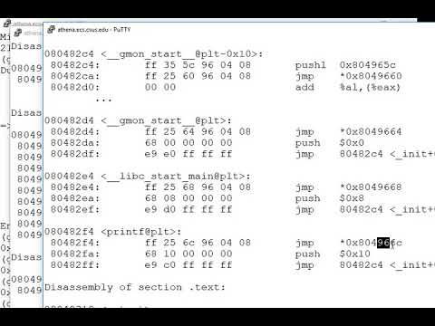 PLT GOT assembly code debugger