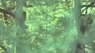 AKRABU - Goddess of the Green Fields (Lycia Cover)