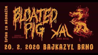 Video 2020-02-20 - KAL - Vlkom - Live at Bajkazyl, Brno, Czech Republi