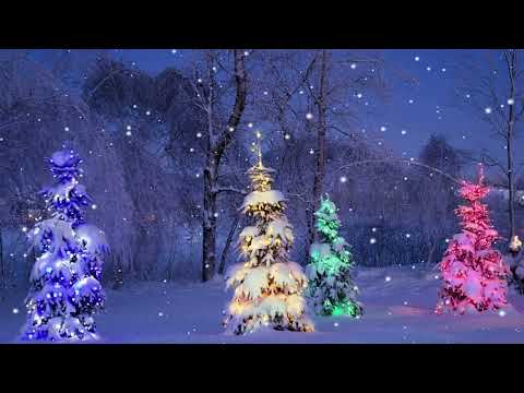 Christmas Ambience/Snowfall on Trees in the Woods with Relaxing Christmas Music
