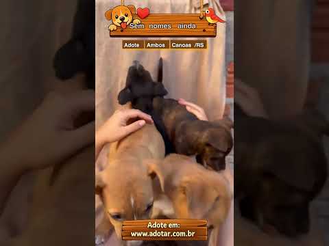 Vídeo de Sem nomes ainda