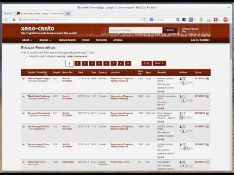 download lagu mp3 mp4 Xeno Canto, download lagu Xeno Canto gratis, unduh video klip Xeno Canto
