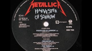 Metallica - Breadfan (Vinyl - 45RPM)