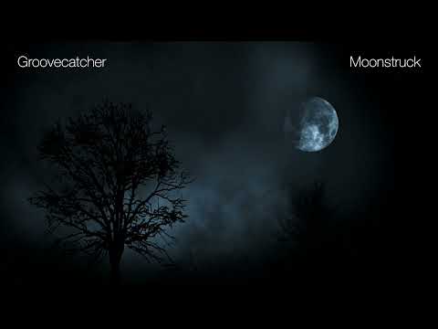 Groovecatcher - Moonstruck