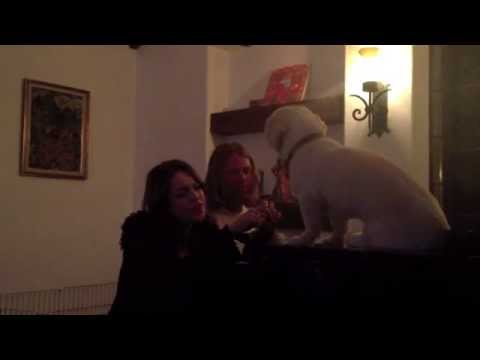 Backhouse Mike ft. Liz Gillies - Okay