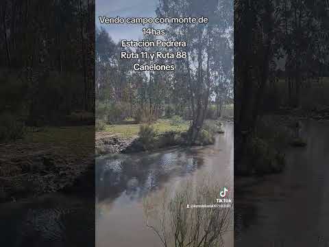 Vendo 14has de campo con monte Estación Pedrera Ruta 11 y Ruta 88 Canelones