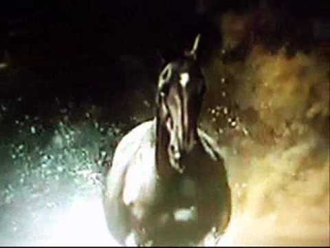 BLACK BEAUTY THEME SONG  TRIBUTE (Galloping Home)