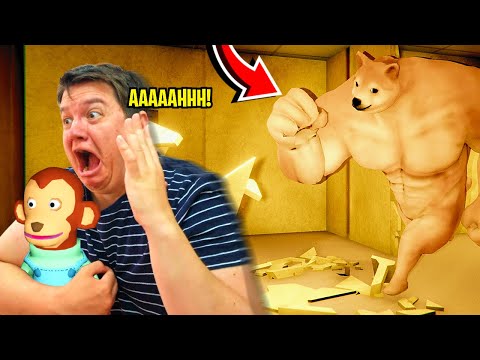 Insanity HAS TROUBLED AND IS HUNTIN' ME IN THE BACKROOMS!