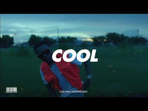 (FREE) NSG x Frenna x Wizkid x Afroswing Type Beat - COOL | 2021 Afrobeat instrumental