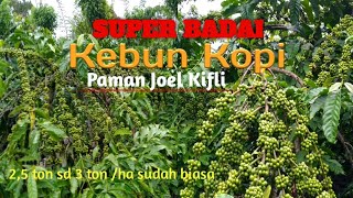 Download lagu SUPER BADAI KEBUN KOPI TIAP TAHUN 3 TON || Tukang Ngopi Jalan-jalan mp3