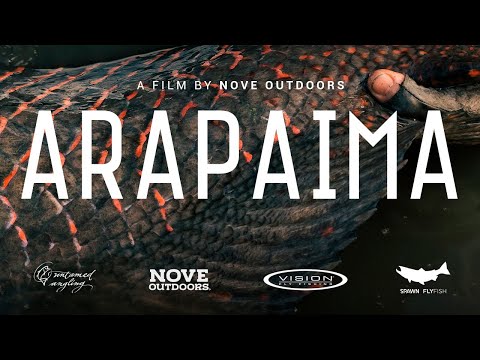 ARAPAIMA - A Fly Fishing Short Film (4K)