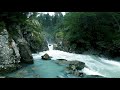 Hermoso Sonido De Cascada De Agua En El Centro Del Bosque Por 12 Horas Para Calmar Mente Meditar