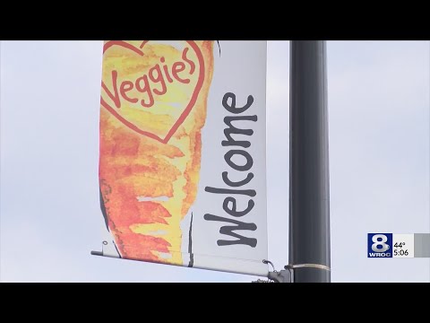 Wegmans Hours Shifting Statewide