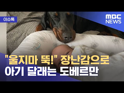 아이콘