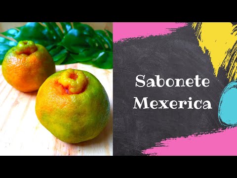 Sabonete Mexerica #receita #passoapasso #quitandadobanho