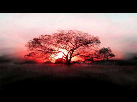 Avernus - Schizophrenia