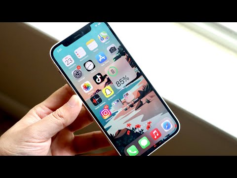 I Used My iPhone 12 For 10 Months Without a Case,...