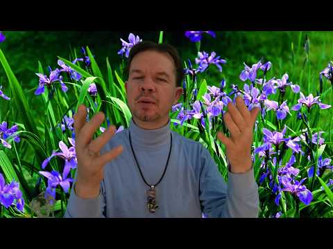 The Nature of Personal Reality by Jane Roberts