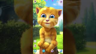 Talking Ginger