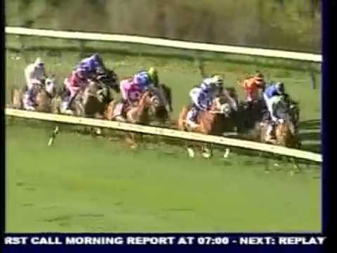 Quite Something - 2nd win - Racing Association