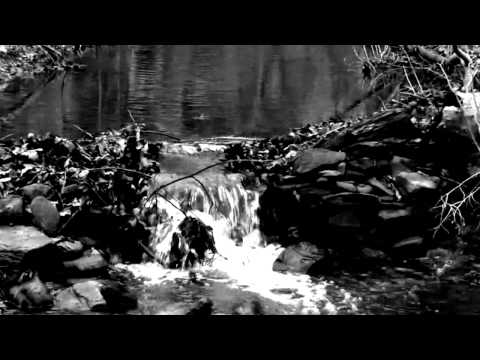 Wedard - Diminished (feat. Midnight Odyssey) - Official Videoclip