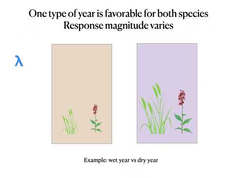 ESA2022: Patterns of coexistence and the storage effect in perennial species