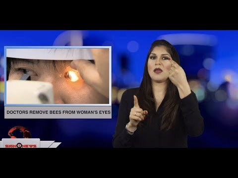 Doctors remove bees from woman’s eyes (ASL - 4.12.19)