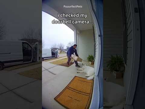 the delivery driver did this... i had to do something