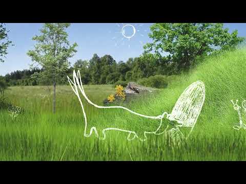 Dog Intro | Premiere Pro