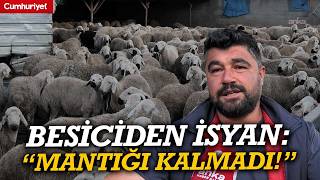 Yozgatlı Besiciden Maliyet İsyanı: "Bu İşi Yapmanın Artık Mantığı Kalmadı!"