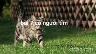 bài 7 có người tìm
