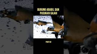 Download lagu A BIRDS ATTACK AN ELEPHANT TEAM #filmplot mp3 Download lagu A BIRDS ATTACK AN ELEPHANT TEAM #filmplot mp3