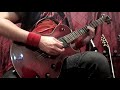 Himsa - Curseworship - Guitar Cover. HD