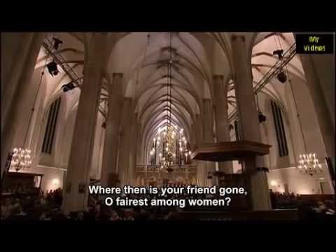 Bach St Matthew Matthäus Passion BWV 244 Ton Koopman