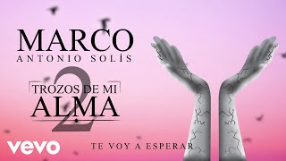 Marco Antonio Solís - Te Voy A Esperar (Animated Video)