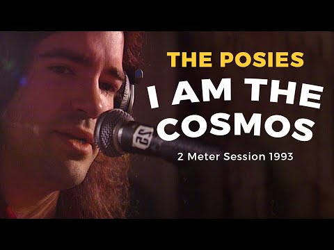 rock and roll band. The Posies did a cover of this on a 7 once - (backed with Chris Bell's apres-Big Star I Am The Cosmos) and they