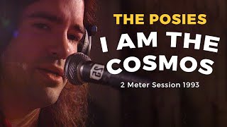 The Posies - I Am The Cosmos (Chris Bell cover) | 2 Meter Sessions 1993