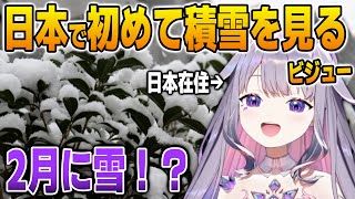 日本で初めて積もった雪を見て大興奮のビジュー【英語解説】【日英両字幕】