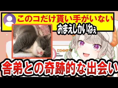 【ニチアサ切り抜き】ホントは別の猫を飼おうとしていたが、舎弟に惹かれた小森めと【ぶいすぽ切り抜き】