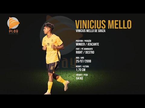 playmkt - Vinicius Mello - 2008