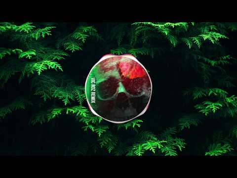 ♫ Halsey - Without Me (Vic Roz Remix)