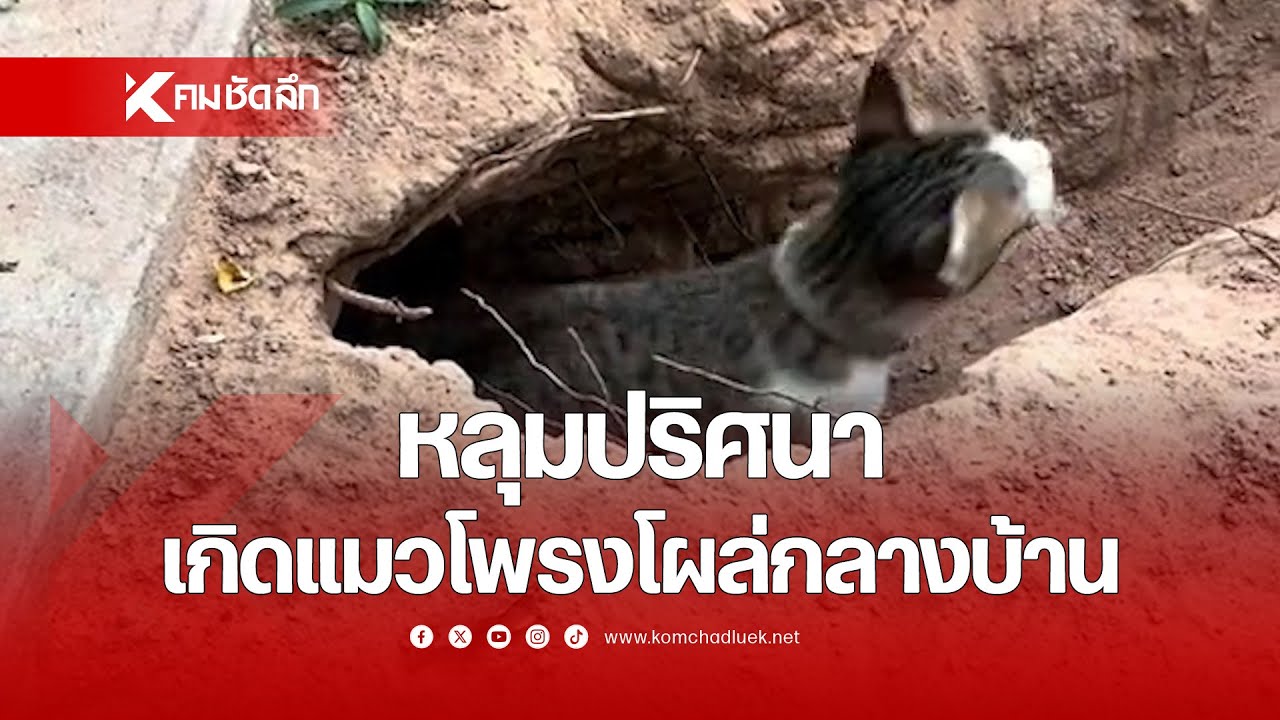 หลุมปริศนา เกิดแมวโพงโผล่กลางบ้าน