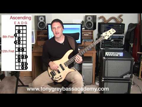 Bass Guitar Lesson - Lydian Mode - Tony Grey