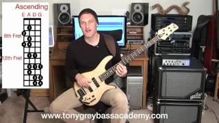 Bass Guitar Lesson - Lydian Mode - Tony Grey